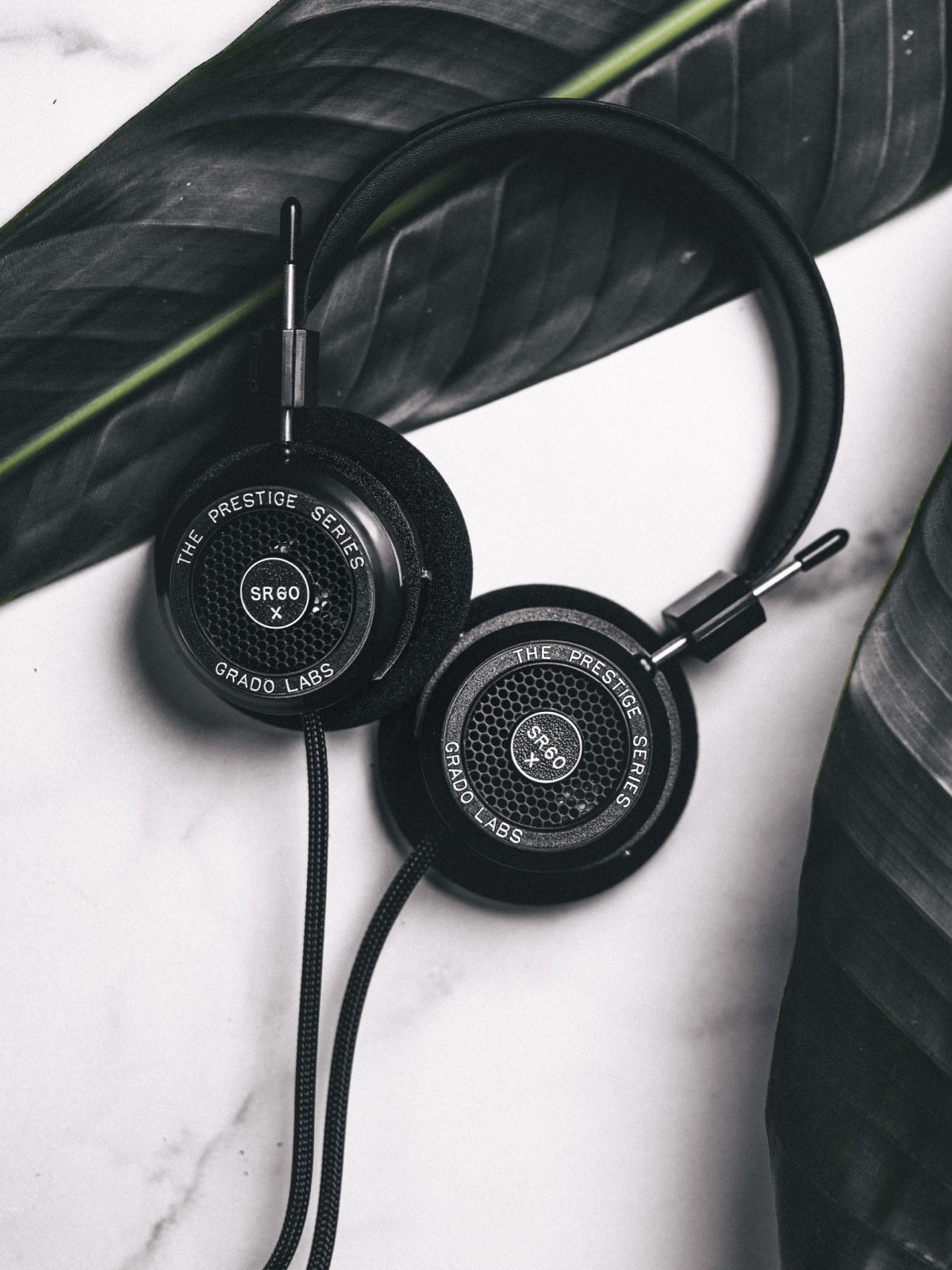 Photo of SR60x Headphones resting on the green leaf of a plant which is resting on a white marble table